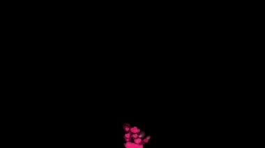 4k Hearts romantic confetti Transition valentines day with Alpha Matte, Wedding, Valentine's day, Red Heart, Confetti Transition saint valentine day heart animation with alpha matte.