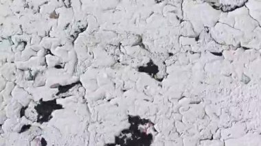 Eski grunge yırtık kolaj posterleri buruşmuş kağıt levha deseni arka plan. Arka plan için yırtık posterlerle birlikte.