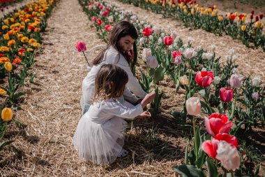 two girls in white clothes sitting in the tulip field picking flowers
