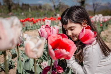 close up view of girl in white dress watching big flower sitting in tulip field in the farm