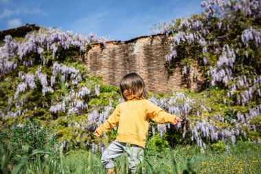 standing child in grass in a sunny day against wall with wisteria