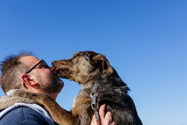 Anjing Menjilati Pemilik Wajah Menempatkan Kaki Bahunya — Stok Foto