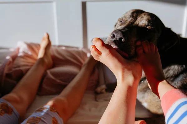 Köpek Çocukların Yalınayak Yalayarak Sabah Işığında Yatakta Yatıyordu — Stok fotoğraf