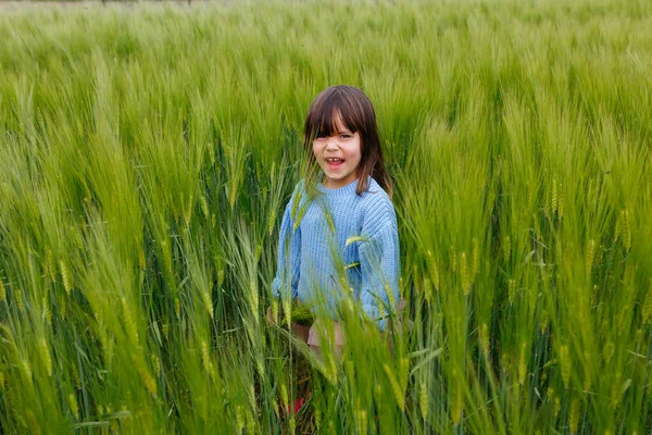 Śmiejące Się Dziecko Długimi Brązowymi Włosami Stojące Polu Pszenicy — Zdjęcie stockowe