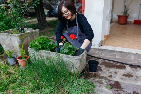 stock image dark hair woman in apron planting flowers in the pot in the garden in front of the house