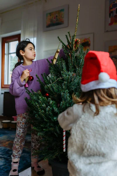 Duas Crianças Santa Hat Decorando Árvore Natal Natural Sua Casa — Fotografia de Stock