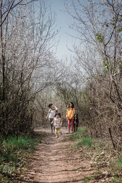 Büyük gri köpekleri ile kır yolunda koşan üç çocuk.
