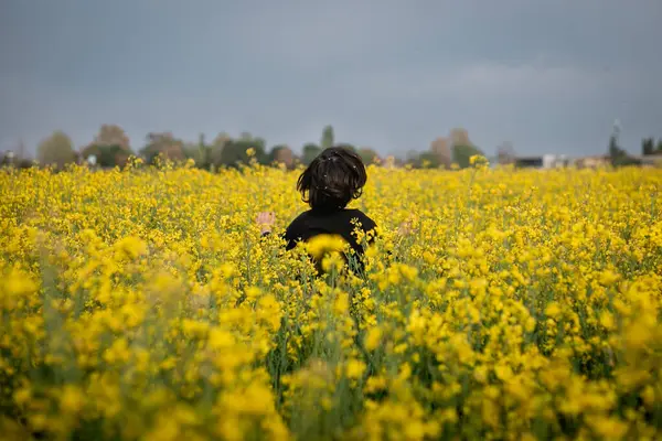 Koyu renk elbiseli, sarı çiçekli, kaçan çocuğun arka camı.