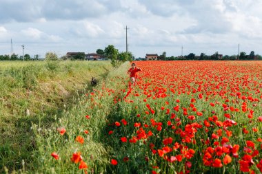Kırmızı elbiseli çocuk ve haşhaş tarlasında birlikte koşan gri köpeğin geniş açılı görüntüsü