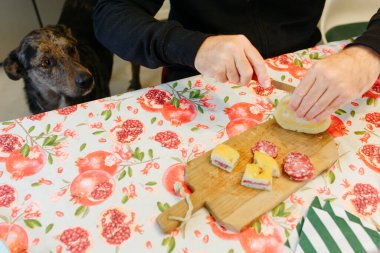 upper view of a dog sitting next to the kitchen table waiting for the food being cut by the owner clipart