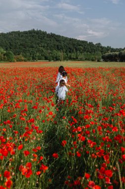 Büyük bir gelincik tarlasında yürüyen üç çocuğun arka görüntüsü.
