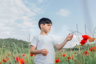 Büyük bir gelincik tarlasında duran bir kızın düşük açılı görüntüsü