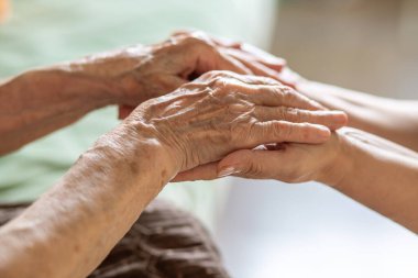 Yaşlı ve genç bir kadının elleri birlikte.