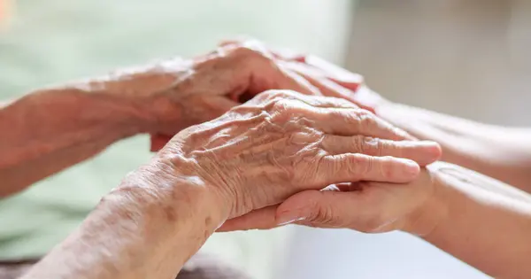 Hands of an old woman and hands of a child on a light background, old skin and young, wrinkles on the hands, rough old fingers and a child\'s hand.