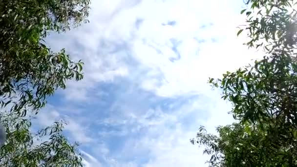Weiße Wolken Fliegen Blauen Himmel — Stockvideo
