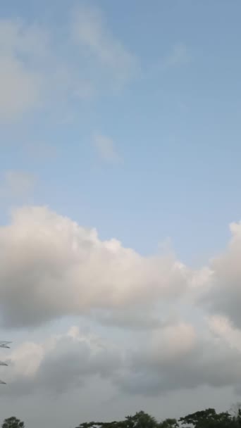 Небо Вертикаль — стоковое видео