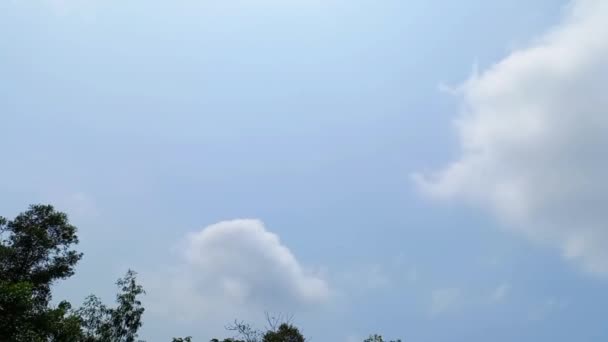 Witte Wolken Vliegen Blauwe Lucht Timelapse — Stockvideo