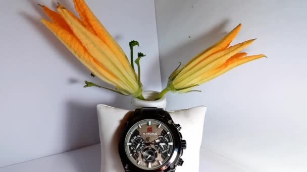 Relógio Rosto Abóbora Flor Timelapse — Vídeo de Stock