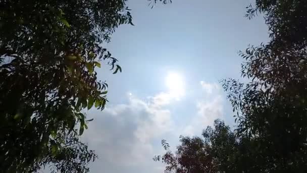 Облака Летающие Голубом Небе Timelapse — стоковое видео
