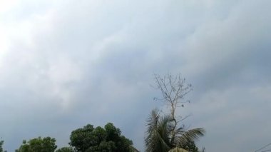 Enigmatik Hava Durumu: Bulutlu Gökyüzü Yağmurun İşaret Ettiği Gibi Büyüleyici Zaman Çizelgesi