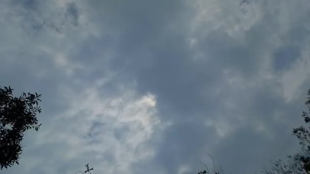 Anmutiger Wolkentanz Zeitraffer Weißer Wolken Die Über Den Blauen Himmel — Stockvideo