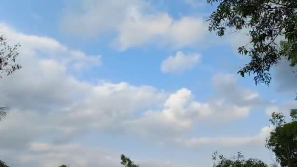 Nuvens Brancas Voando Céu Azul Timelapse — Vídeo de Stock