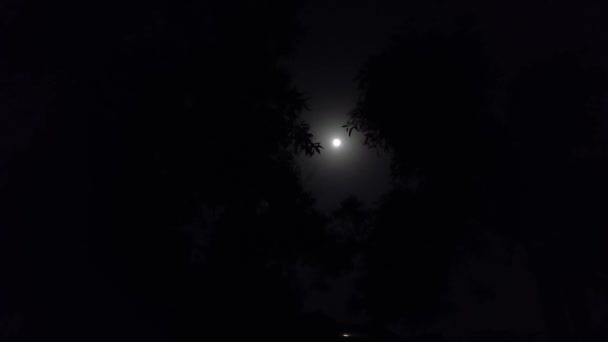 Γαλήνη Του Φεγγαριού Timelapse Enchanting Moon View — Αρχείο Βίντεο