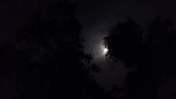 Élégance Lunaire Lune Sur Ciel Sombre Enchanteur Clair Lune Timelapse — Video