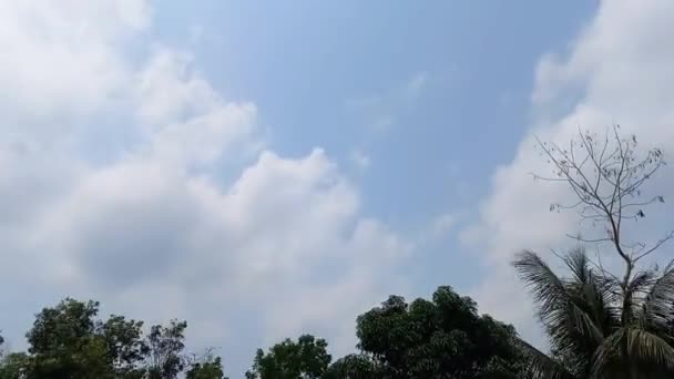 Zachte Witte Wolken Zweven Blauwe Lucht Timelapse — Stockvideo