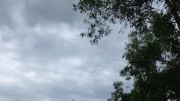 Облачное Небо Прохладными Белыми Облаками — стоковое видео