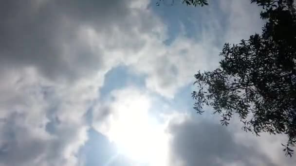 青い空を速く飛ぶ白い雲 タイムラプス — ストック動画