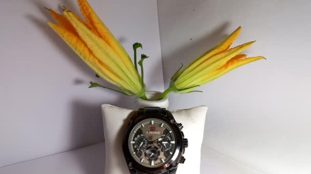 Kwitnące Piękno Time Lapse Dyni Kwiaty Zegarkiem Twarz — Wideo stockowe