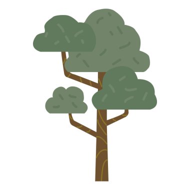 Ağaç vektör çizimi. Yapraklı ağaç izole edilmiş simge tasarımı