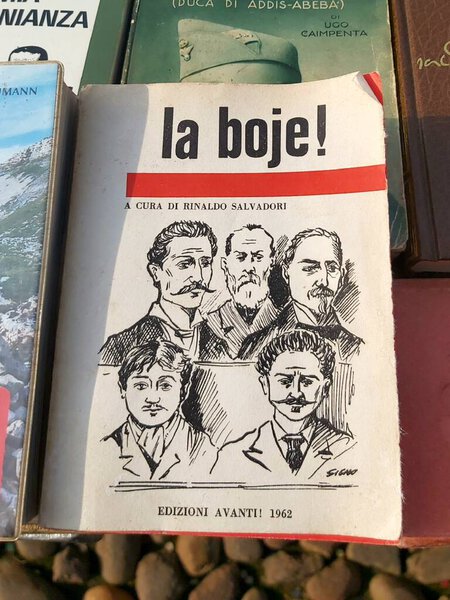 Mantua, Italy, February 18, 2024: "La boje!" book for sale in the antiques market, book of Avanti! editions from 1962.