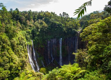 Tumpak Sewu şelalesinin güzelliği. Endonezya 'nın en büyük şelalelerinden biri. Bir sürü su akıntısı var. Lumajang Regency, Doğu Java 'da ünlü bir turizm merkezi..