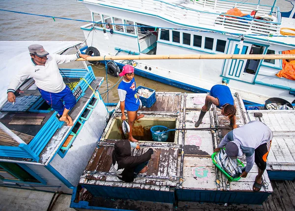 Batu Licin, Tanah Bumbu, Endonezya Balıkçılık Limanı 'nda balıkçılık faaliyetleri. Balıkçılar limanda balık yakalarlar..