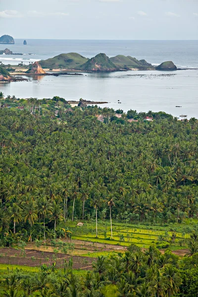 Mandalika bölgesindeki Kuta plajı manzarası, uzaktan görülüyor. Mandalika, Endonezya 'nın Batı Nusa Tenggara kentindeki ünlü turizm merkezlerinden biri olan Lombok adasında popüler bir turizm alanıdır..