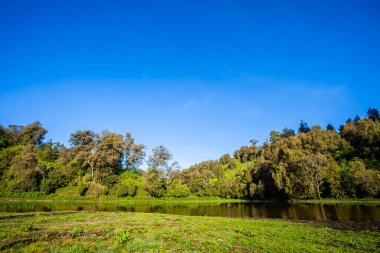 Semeru Dağı eteğindeki Ranu Pani gölünün güzelliği, Endonezya 'nın Lumajang Regency kentindeki Semeru Dağı' na tırmanmanın başlangıç noktasıdır. Bromo Tengger Ulusal Parkı 'nın bir parçası..