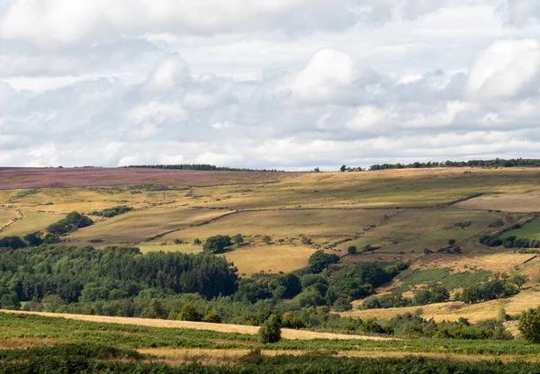 North Yorkshire Moors National Park — Foto Stock