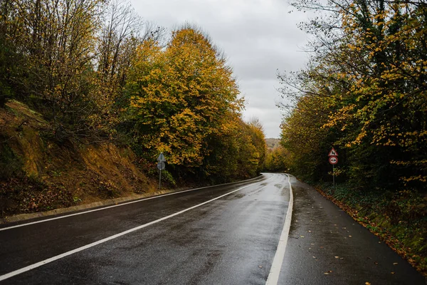 Asphalt Road Autumn Forest Fallen Leaves High Quality Photo — Stock Photo, Image