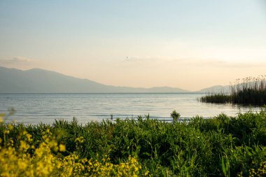 lakeside view at amazing sunset, landscape with yellow flowers and meadows in the foreground and a lake and mountain view in the background , . High quality photo