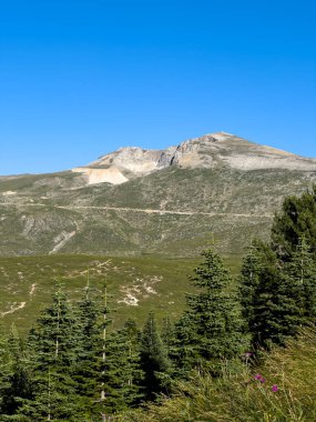 Ön planda çayırlar, arka planda Bursa 'da Uludağ, erimiş karıyla, mavi gökyüzüyle Uludağ tamamen gözler önüne serildi. Yüksek kalite fotoğraf