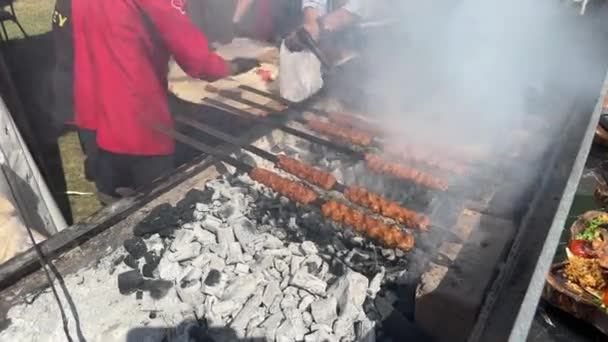 Turco Kebab Grelha Churrasco Grliling Shish Kebab Shish Kebab Fumaça — Vídeo de Stock