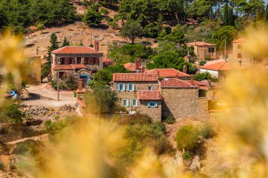 Adatepe, Kucukkuyu, Çanakkale 'de eski bir Türk köyüdür. Zeus, Truva Savaşı 'nı Adatepe yakınlarındaki bir sunaktan izledi. Yüksek kalite fotoğraf