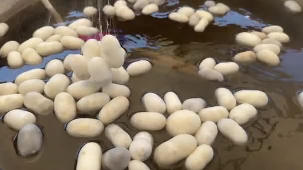 Silkworm Cocoon Cauldron Process Handmade Silk Cloth Bursa Turkey Boiled — Stock Video