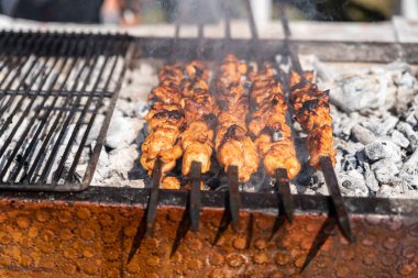 Açık ızgarada ızgara tavuk kebabı, açık mutfak. Şehirde yemek festivali. Lezzetli yemekler şişte kızartılıyor, yemekhanede. Yaz pikniği. Yüksek kalite fotoğraf