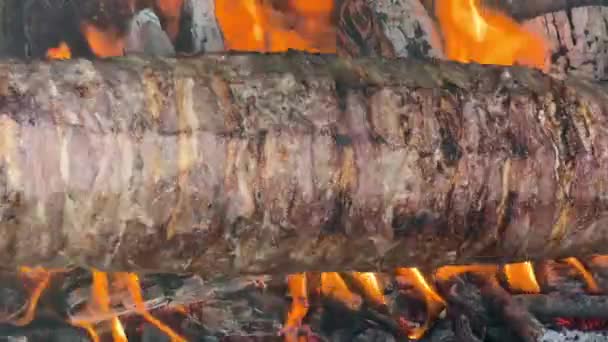Шашлык Традиционное Турецкое Блюдо Приготовленное Костре Турецкое Мясо Быстрого Питания — стоковое видео