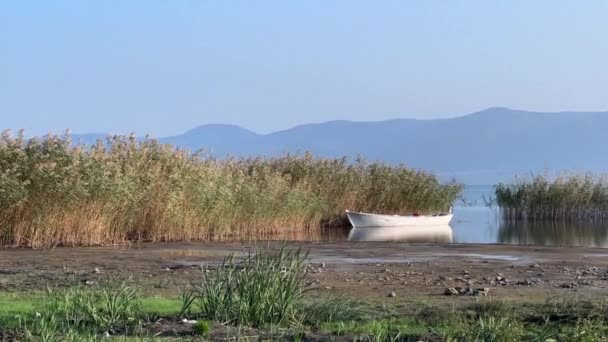 Roseaux Bord Lac Bateau Pêche Concept Réchauffement Climatique Concept Calme — Video