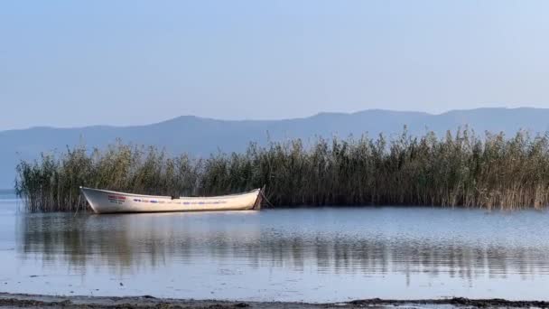 Juncos Junto Lago Barco Pesca Conceito Aquecimento Global Conceito Calmo — Vídeo de Stock
