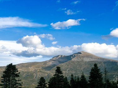 Bursa 'daki Uludağ' ın arka planında çam ağaçları ve bulutlu mavi gökyüzü var. Yüksek kalite fotoğraf